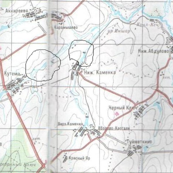 Карта Черемшанского района (Нижняя Каменка)